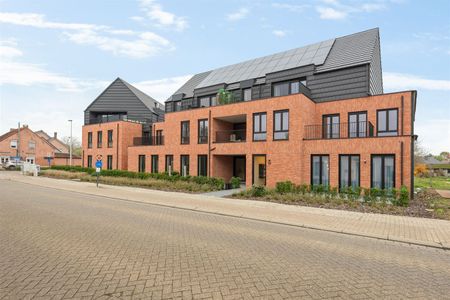 Steenbergen 10, 2430, Vorst - Photo 2