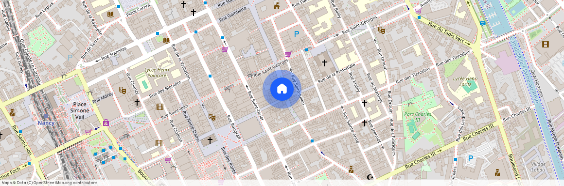 30 RUE DU PONT MOUJA, Gambetta Carmes Faiencerie, Nancy
