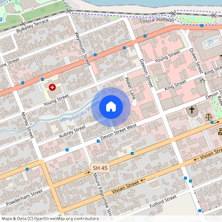 35 Weymouth Street, New Plymouth Central, New Plymouth