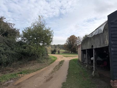 1 bedroom bungalow to rent - Photo 4