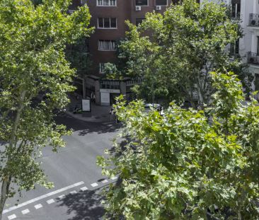 Room in a shared 5-bedroom apartment for rent in Almagro. - Foto 6