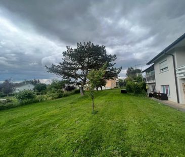 2.5 Zimmer - Photo 1