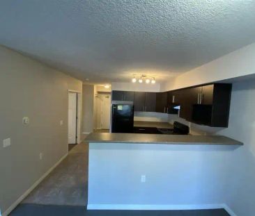 Norwood Village — 2 Bedroom + Den - Photo 1