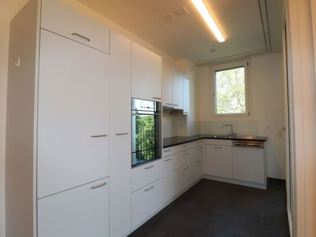 Moderne 3 1/2-Zimmer-Attika-Wohnung mit grossartiger Aussicht - Photo 5