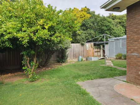 18 Lauer Street, Doncaster - Photo 4