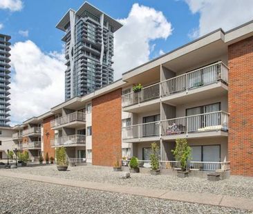 West Coquitlam | Renovated 1 Bedroom at Westview Manor - Photo 1