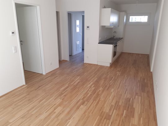 ACHTUNG AKTION 1 MONAT MIETFREI: SCHÖNE 2-ZIMMERWOHNUNG MIT BALKON IM NEUEN INNOVATIVEN REININGHAUS - Foto 1