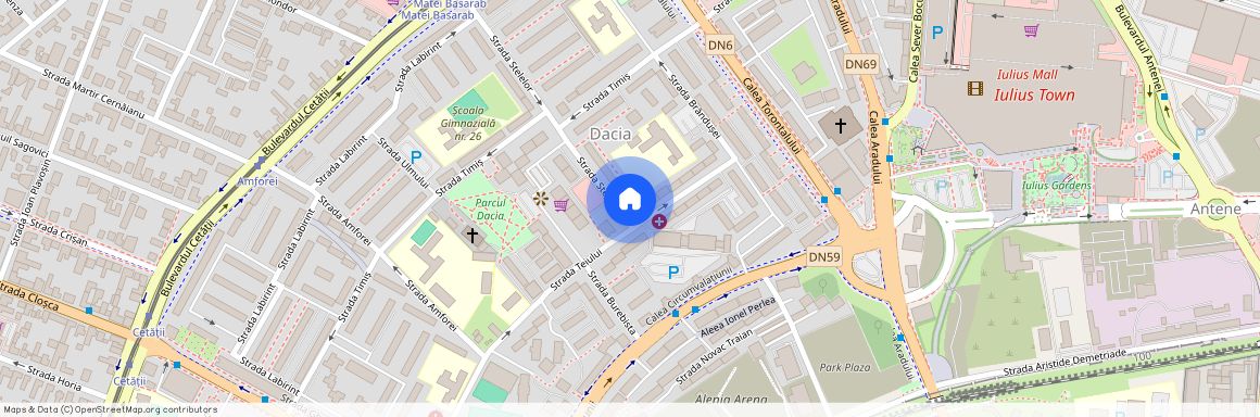Timis, Timisoara