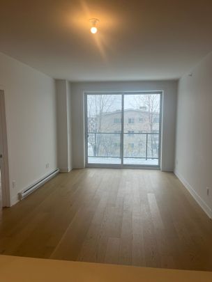 10130 Rue Lauraine Vaillancourt - Photo 1