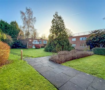 2 bedroom penthouse to rent - Photo 3