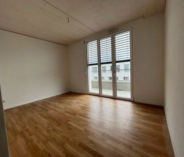 LE TICLE : Appartements neufs à louer - Photo 3