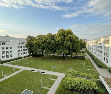 Kleine 3-Raum-Dachgeschosswohnung mit großer Terrasse(15 m²) in Lin... - Photo 3