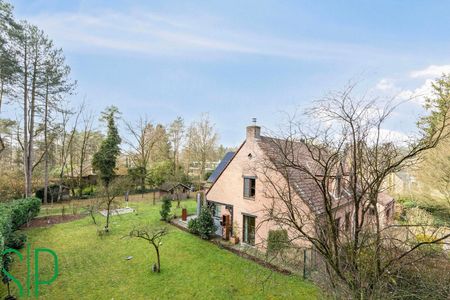 Ruime rustig in het groen gelegen villa te Bouwel - Foto 2