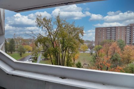 1081 Ambleside Dr #504 — 2Bed/1Bath (#504) - Photo 5