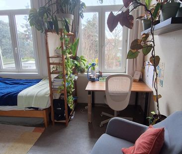 Studentenkamer 2 - Stropstraat 58 - Photo 1