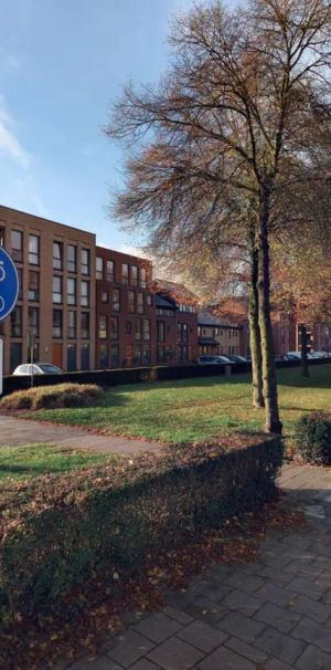 Appartement Cuijlenburg 38, Boxmeer - À louer - Foto 1