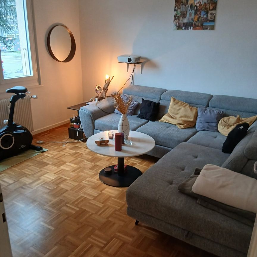 3.5 Zimmer, 80 m² - Photo 1