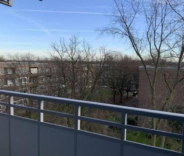 Helle 2-Zimmer-Wohnung mit Vinylboden und RENOVIERUNGSGUTSCHEIN - Photo 4