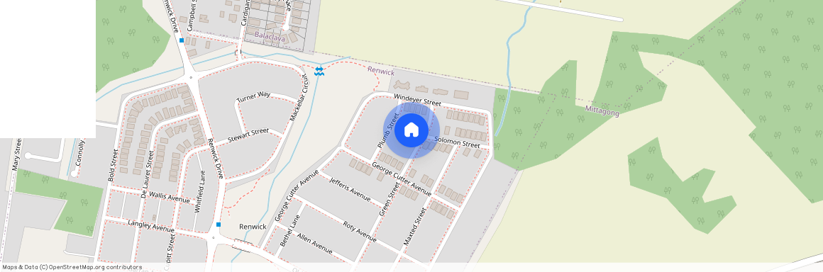 41 Green Street, Renwick NSW 2575