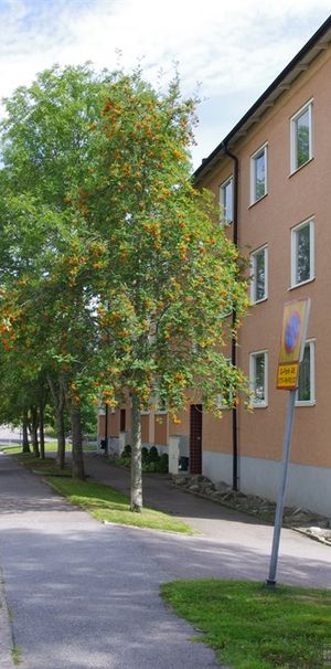 De Wijks väg 13 B - Photo 1