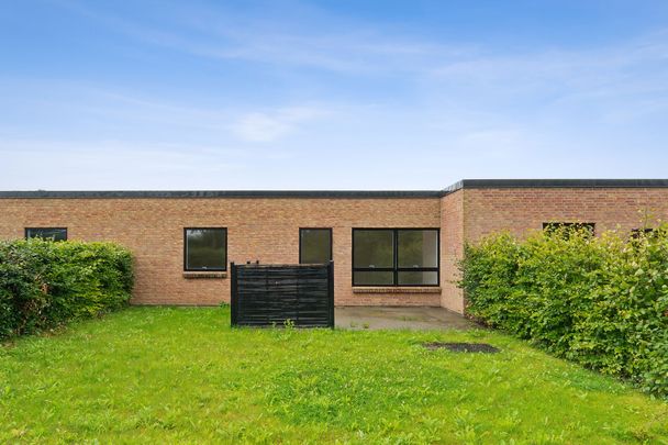 3-vær. rækkehus med egen terrasse - Photo 1