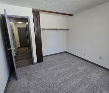 Newly Renovated Ground Floor 1 Bedroom on South Hill - Photo 1