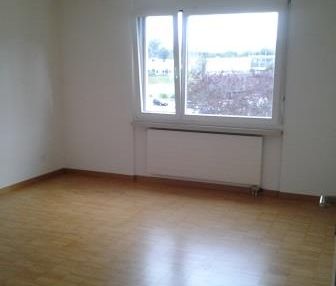 Suchen Sie ein neues Zuhause? - Foto 1