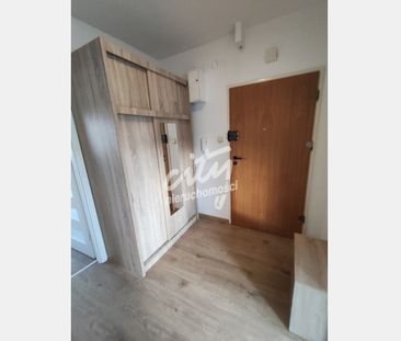 Szczecin - Zdjęcie 5