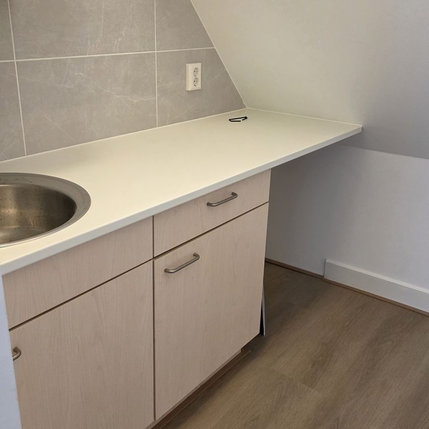 Per heden beschikbaar 2-kamer appartement op rustige locatie in Utrecht nabij de binnenstad - Foto 1