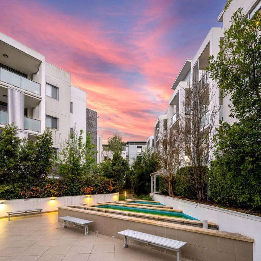 Unit 71/212 Mona Vale Road, - Photo 1