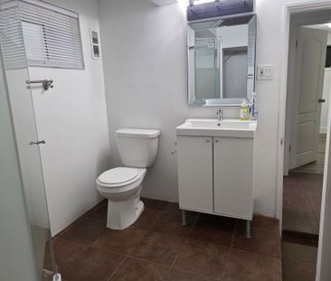 BSMT LEVEL OF GREAT HOUSE IN COQUITLAM (UTILITIES INCLUDED) - Photo 6