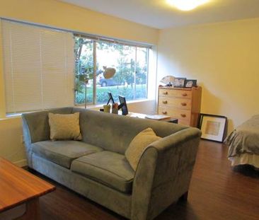 Studio apartment in quiet green west-side neighbourhood - Photo 4