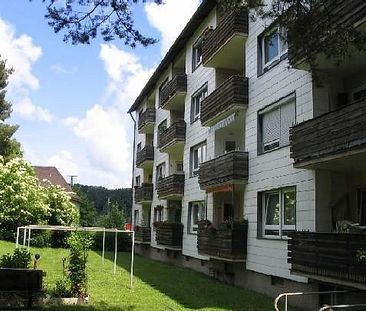 Renovierte 3 - Zimmer Wohnung mit Balkon in Zentrumsnähe - Photo 3