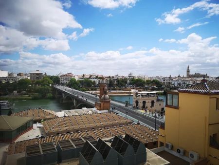 Calle San Jorge, Sevilla, Andalusia 41010 - Photo 2