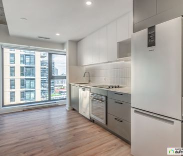 235, rue Young -4 1/2 - Griffin Square, Griffintown à louer - Photo 5