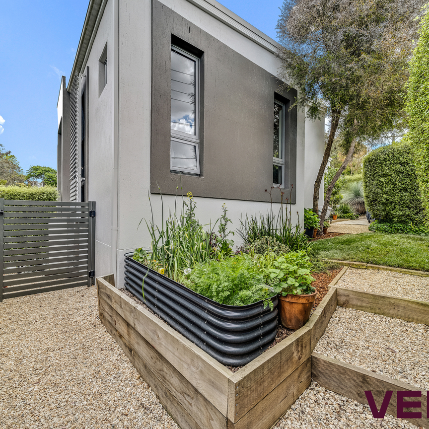 2/14 Walu Street, Aranda ACT 2614 - Townhouse For Rent | Domain - Photo 1