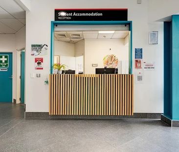 8 Mount Street, Grafton, Auckland - Photo 3