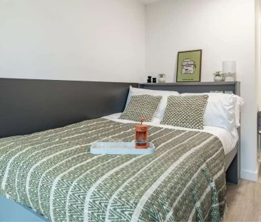 Standard Studio - Photo 6