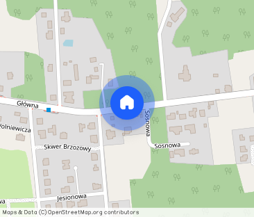 Piękne, jasne, niezależne, 4 pokoje, las - Zdjęcie 1