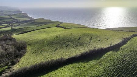 3 bedroom property with land to rent - Photo 2