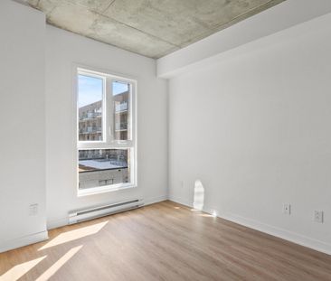 2211 Rue Harry-Halton, Montréal, QC - Photo 3