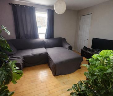 Immeuble - 357-365 12e Av Nord 3 ½ à Louer – Dernier étage – Près D... - Photo 3