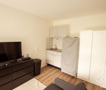 Elviraland (3022) - Foto 6