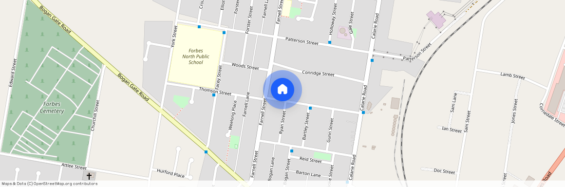 17 Thomson Street, NSW 2871, Forbes