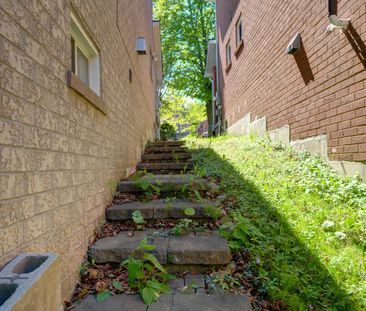 For Lease - 431 Carruthers Avenue Unit# Bsmt, Newmarket, Ontario - Photo 4