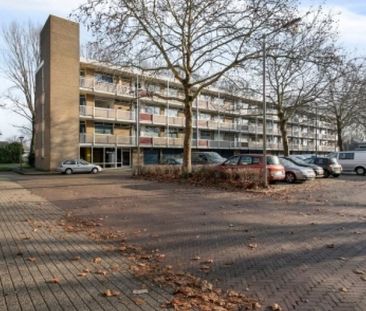 Apartment Arnhem - Valkhofplein - Photo 3