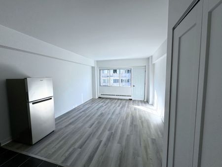 Renovated studio available NOW – 175 Sherbrooke O - Photo 2