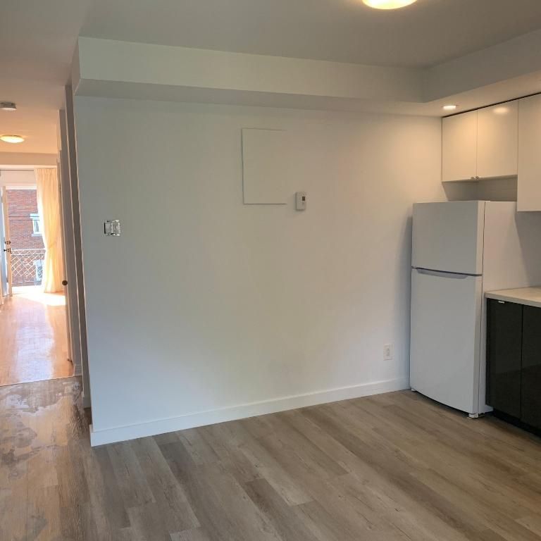 BEAU LOFT – CUISINE RÉNOVÉE – VILLERAY, MONTRÉAL - Photo 1