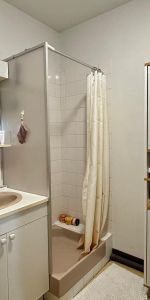 Location Appartement 1 pièce 24m² POITIERS 86000 - Photo 3