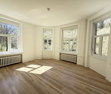 Lumineux et entièrement rénové - Foto 6